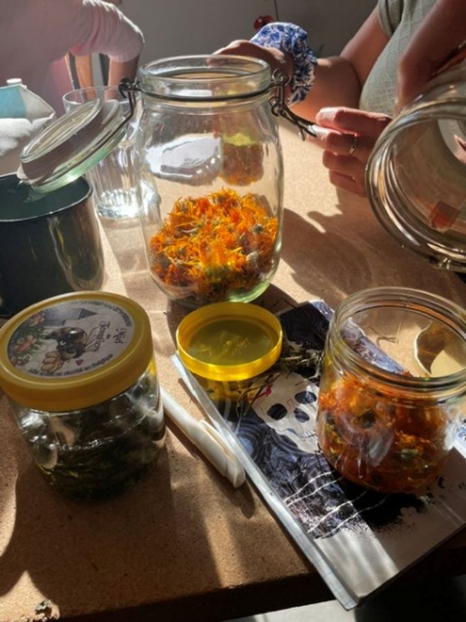 Plantes et hydrolats préparés pour l'atelier d'aromathérapie